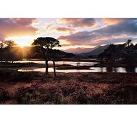 hardest puzzle jigsaw puzzle 500 piece,natural beauty,sun,sunset,lake 52x38CM