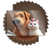 Hardhat Stickers and Decals Adorable Friends: A Dog, Cat, and Mouse Together Stickers 10Pcs Man Cave Bar Family Car Stickers(8X12CM)