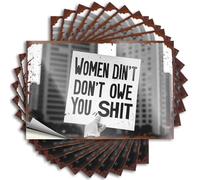 Hardhat Stickers and Decals Empowerment: Women Don't Owe You Anything Stickers 10Pcs Car Accessories Mechanic Stickers(12X18CM)