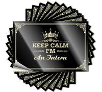 Hardhat Stickers and Decals Keep Calm I'm an Intern Stickers Mechanic Stickers Inappropriate Stickers(12X18CM)