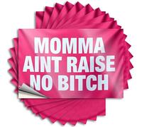 Hardhat Stickers and Decals Momma Ain't Raise No Bitch Flag Stickers 10Pcs Prank Stickers for Adults Bar Rules Sign(12X18CM)