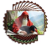 Hardhat Stickers and Decals Saint in Red Robe with Black Lamb Amidst Nature's Serenity Stickers 10Pcs Funny Alcohol Signs Decals for Cars(12X18CM)