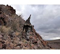 Hardships of self filming Aoudad Sheep hunt with Tim Burnett