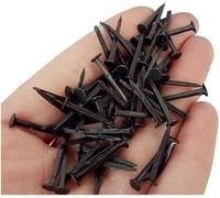 Hardwood Nails,Flat Head Nails,Assorted Nails for Wood,Panel Pins, Small Black Iron Nails, Small Nails for Nails, Nails for Shoe Repair, About 100 Grams.-19mm (Color : 16mm) (Color : 16mm)(13mm)