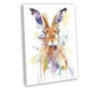 Hare Art Canvas Print - Framed Watercolour Nature Painting - Wildlife Animal Theme Home Decor Colourful Painting 1 (40x25cm / 16x10inch)