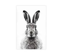 Hare Black And White Animal Art Poster Wall Art