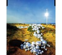 Hare-Brained Unity - Daylight