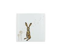 Hare Glass Hot Pot Stand - Trivet Mat Heat Resistant Multi-Purpose Non-Slip Table Place Mats for Hot Pot Holder, Pans, Dishes, Spoon Rest, Coasters for Kitchen Cooking & Dining 20cm x 20cm (8" x 8")