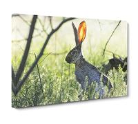 Hare in the Meadow Canvas Print | Gallery Wrapped 30mm Frame Wall Art | 24x16 inches | Ready to Hang | Modern Animals Picture | Living Room Bedroom Lounge Office
