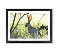 Hare in The Meadow Framed Print | A2 Oak Framed Wall Art | Ready to Hang | Modern Animal Picture | Living Room Bedroom Lounge Office