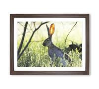 Hare in the Meadow Modern Framed Print | A2 Walnut Framed Wall Art | Ready to Hang | Modern Animal Picture | Living Room Bedroom Lounge Office