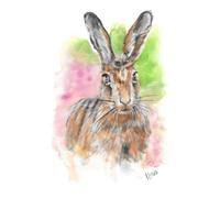 Hare Notebook: 150 Lined Pages for Fact Finding Missions and Creative Inspiration - Ideal Gift for Wildlife and Nature Lovers, Writers, and Artists