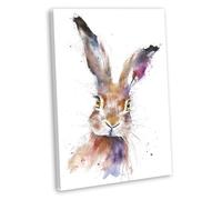 Hare Wall Art Canvas Print - Framed Colourful Watercolour Nature Painting - Wildlife Animal Theme Home Decor Painting 4 (51x36cm / 20x14inch)
