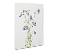 Harebell Flowers By Mary Vaux Walcott Canvas Wall Art Print 30x20 Inch