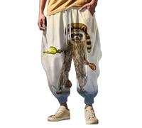 Harem Trousers Mens Animal Graphic Hippie Pants Loose Fit Drawstring Sweatpants Deep Crotch Hip Hop Trouser Elastic Waist Yoga Pant Baggy Jogging Bottoms Trendy Streetwear Outdoor Grey