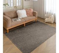 HARESLE Rugs Living Room-60x90cm, Small Thin Rugs for Bedroom, Low Pile Kids Rug - Machine Washable Non Slip, Chenille Short Pile Rug, Soft Area Carpet for Bedside Kitchen Office Lounge(Taupe)