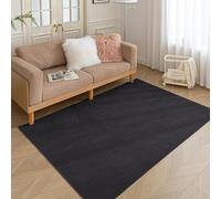 HARESLE Short Pile Black Rug 60x120cm Washable Thin Area Rugs for Kitchen