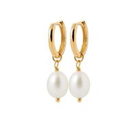 Harfi 18ct Gold Vermeil Pearl Mini Hoop Huggie Earrings
