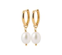 Harfi Women's 18ct Gold Vermeil Pearl Mini Hoop Huggie Earrings Harfi Gold One Size