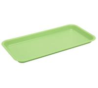 Harfield Polycarbonate Plastic Individual Serving Platter Apple Green (Pack of 2)