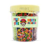 HARIBAS Mukhwas Mouth Freshener 5 in 1, 300GM with Sauf Mouth freshener, Green Saunf Mukhwas, Punjabi Mukhwas, Khas Chandan Mukhwas, Paan Mukhwas and Colorful Sauf | Premium Mukhwas Mouth Freshener