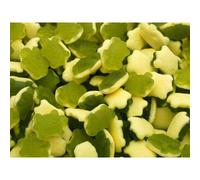 HARIBO Terrific Turtles x 150 Pieces Sweets Tub