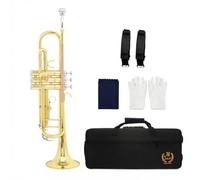 Harilla Brass Wind Bb Trumpet Student Instrument Beginner Cornet Bugle With Case And Accessories Clear Resonant Tone Double Braced Tubing Suitable for, Phosphor Bronze