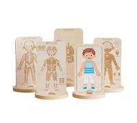 Harilla Children Body Puzzle Wooden Human Body Learning Puzzle With Interactive Layer Peeling For Understanding Muscles Organs And Skeleton Structure Suitable, Boy