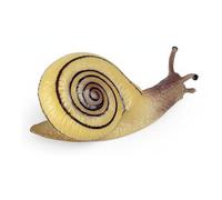 Harilla Figure Animal Model Realistic Simulation Educational Toy Learning Collection Suitable for Classroom Display Home Decoration, Snail 1734