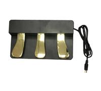 Harilla Piano Sustain Pedal Piano Pedal Music Instrument Accessories Sturdy Lightweight Compact for Performance Training Exercise, with Lid