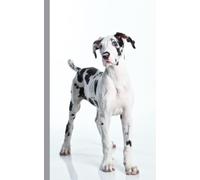 Harlequin Great Dane 5"x8" Soft Cover Notebook: 120 Lined Pages, Adorable Great Dane Puppy Cover!