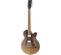 Harley Benton Aeolus Frost Flame Bundle