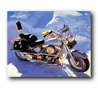 Harley Davidson Motorcycle 1990 Rare Gold Plated Alaska Celebrity Limited Edition Wall Decor Art Print Poster (16x20)