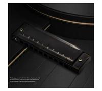 Harmonica 10 Hole 20 Tone Diatonic Harmonica Stainless Steel Covers Major C In Custom Harmonica(G10 Burgundy)