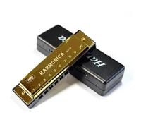 Harmonica 10 hole diatonic harmonica in the key of C for beginners(Gold)