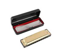 harmonica 10 Hole Harmonica For Beginner Introduction Performance For Beginner Students ABS Phosphor Bronze Mouth Organ (Color : Golden)