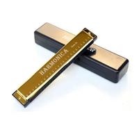 Harmonica 24 Hole Harmonica Metal Organ Beginners(Gold)
