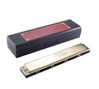 Harmonica 24 Hole Polyphonic Professional Performance Classroom Teaching Beginners And Adults C(Gold C tone)