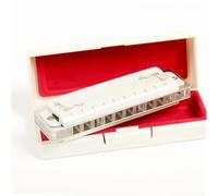 Harmonica For Beginner 10 Hole Harmonica Professional Blues Diatonic Harmonica For Beginner Player(D Tone)