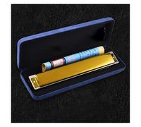 Harmonica For Beginner 28 Holes Harmonica Mini Music Instruments Professional Mouth Harmonica C Tone Professional Music Instrument(Tremolo GD)