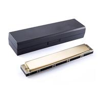 Harmonica For Beginner Professional Harmonica 24-hole Polyphonic Harmonica For Beginners And Adults(Gold,EB Tone)