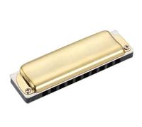 Harmonica Set 10 Hole Blues Harmonica Blues Instrument Adult Playing Practice Beginners(Gold C tone)