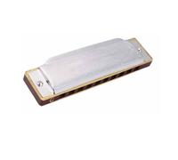 Harmonica Set Blues Harmonica Standard 10 Hole 20 Note Diatonic Scale Suitable For Beginners(D)