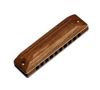 harmonica set Harmonica 10 Holes 20 Tunes Mouth Organ Blues Deluxe Harmonica Key Of C For Beginner Adults