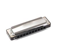 Harmonica Set Mouth Organ 10 Hole Blues Diatonic Harmonica For Beginner Player Gift(D Tone)