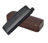 Harmonica Set Professional Chromatic Harmonica Harp 12 Holes Mouth Organ Semi-Matte ABS Cover