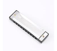 Harmonicas Diatonic Mini Blues C Harmonicas,Stainless Steel Special Mouth Organ,Bass-Chord Chromatic Harmonicas,Silver Cheap Diatonic Case Gift for Adults Kids Beginners and Performers