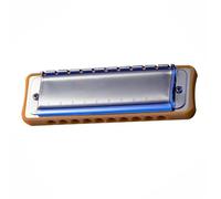 Harmonicas For Adults 10 Holes Diatonic Harmonica Round Hole Blues Harmonica Rich Tone Beginners The Product Design Is Perfect(Paddy D)