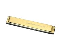 Harmonicas For Adults 24-hole C-tune Polyphonic Harmonica For Beginners Teaching Adult Musical Instrument Harmonica(Gold)