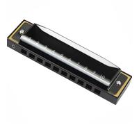 Harmonicas For Adults C Key 10 Hole Blues Harmonica Suitable For Beginners And Students Professional Harmonica Instrument(Black)